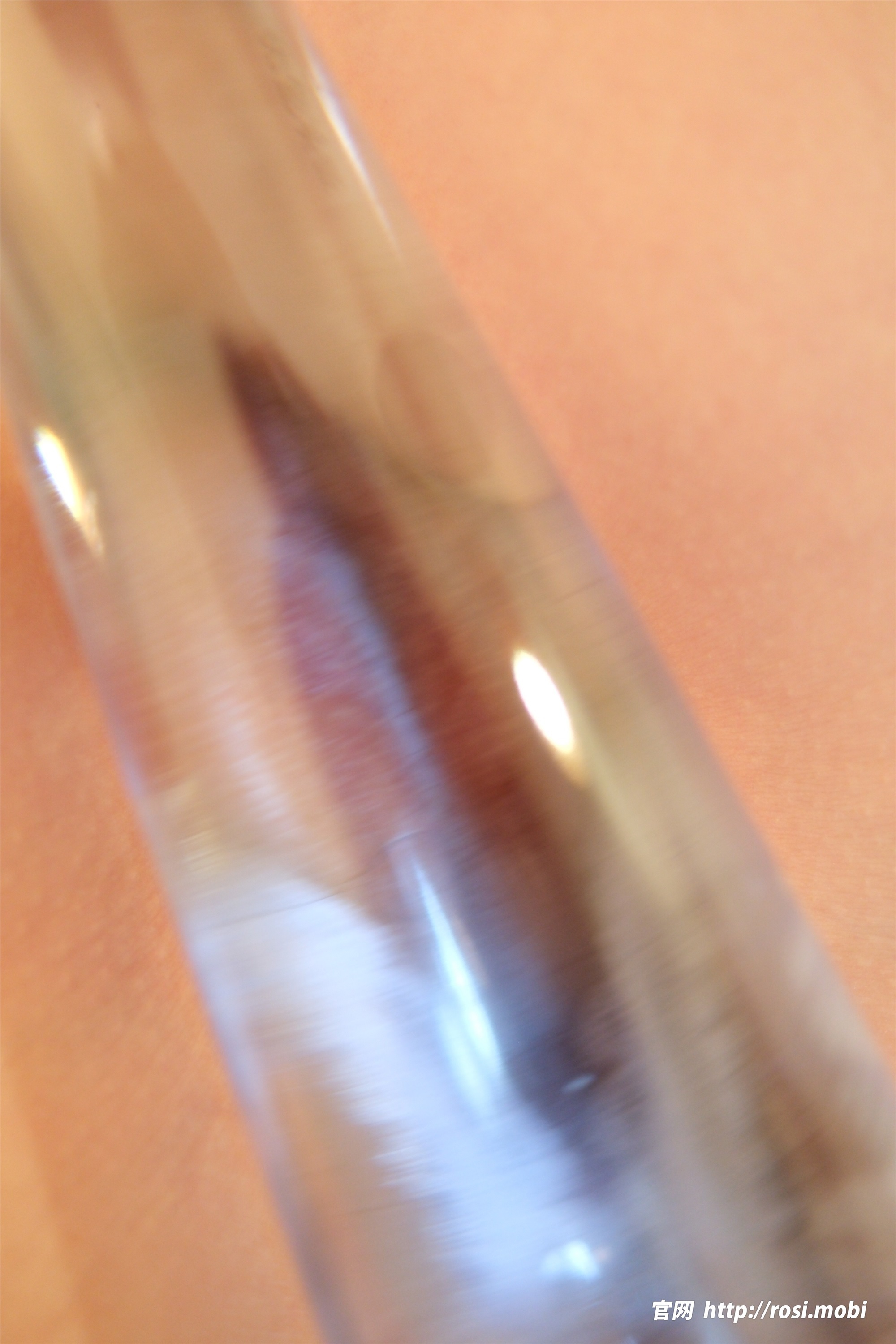 ROSI写真 2025.01.21 NO.4796